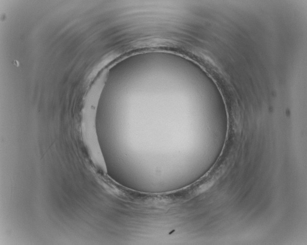 X0000073751073200608311929