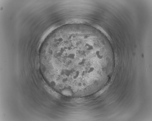 X0000073751075200608311929