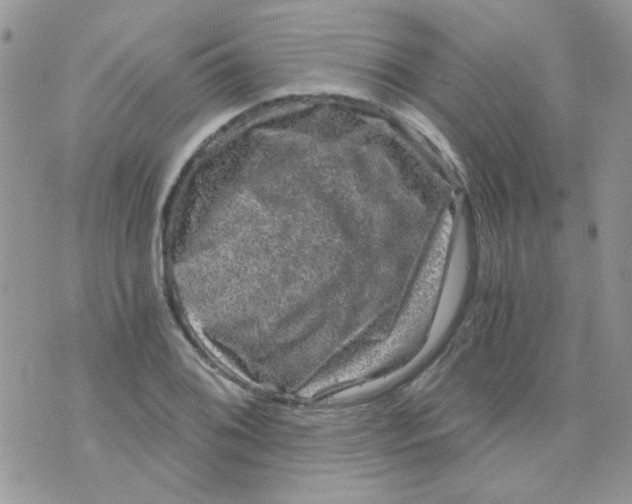 X0000073751076200608311929