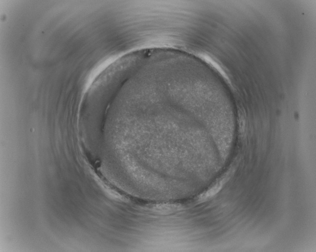 X0000073751077200608311929