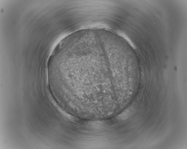 X0000073751079200608311929