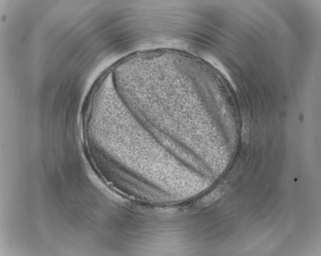 X0000073751080200608311929