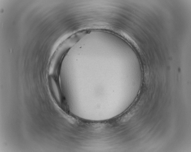 X0000073751085200608311929