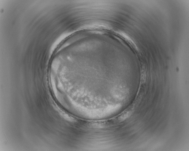 X0000073751086200608311929