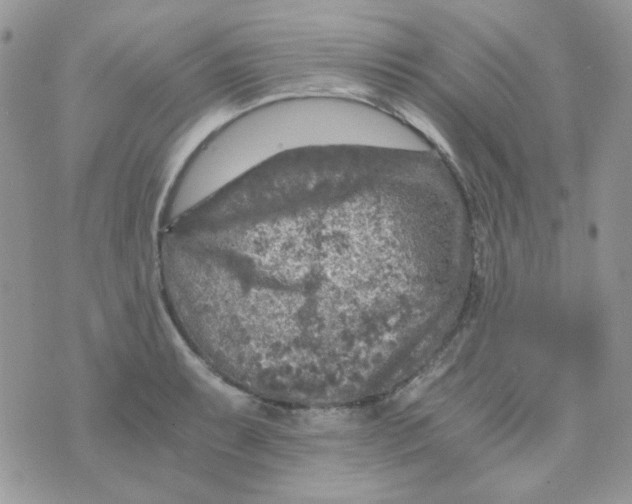 X0000073751087200608311929