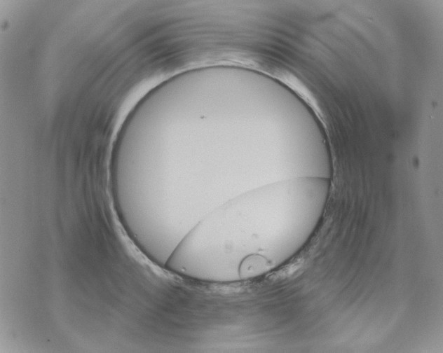 X0000073751088200608311929