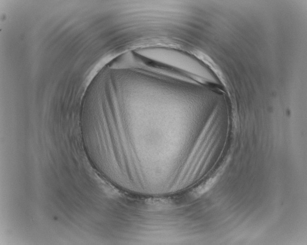 X0000073751089200608311929