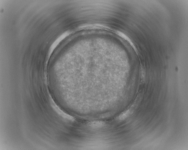 X0000073751090200608311929