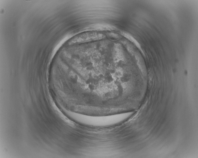 X0000073751091200608311929