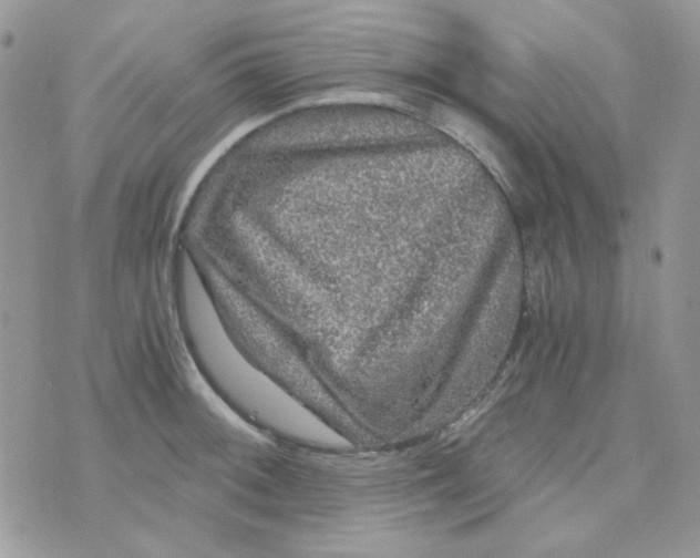 X0000073751092200608311929