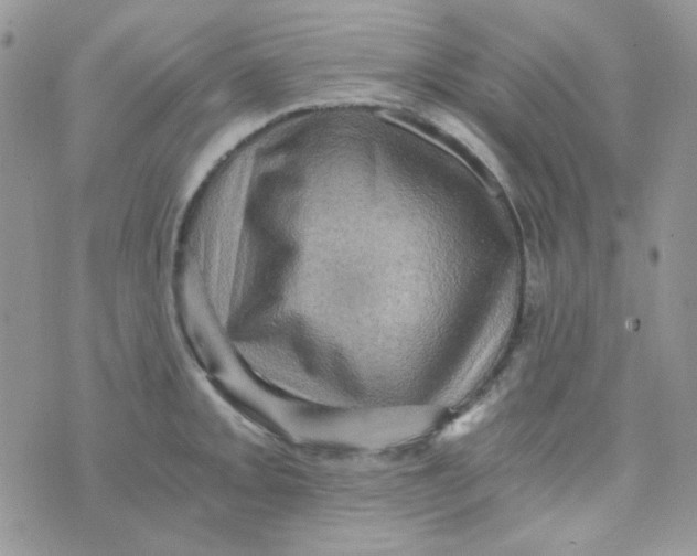 X0000073751093200608311929