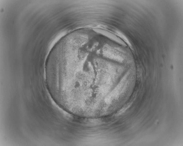 X0000073751095200608311929