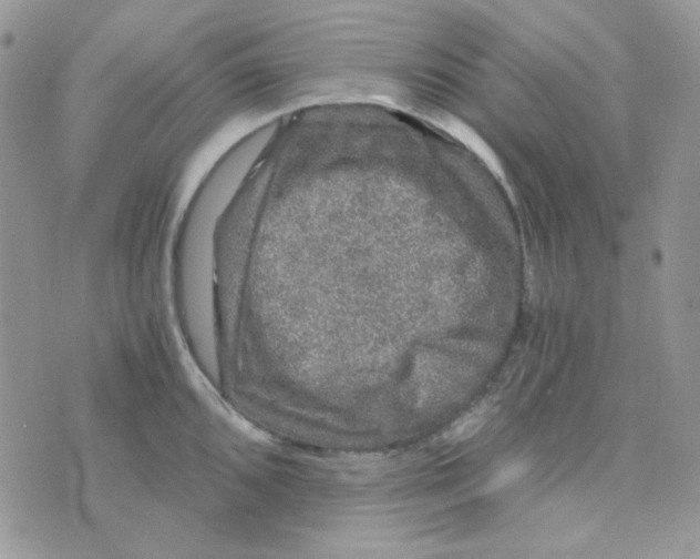 X0000073751096200608311929