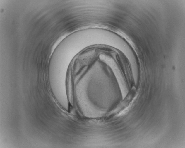 X0000073751097200608311929