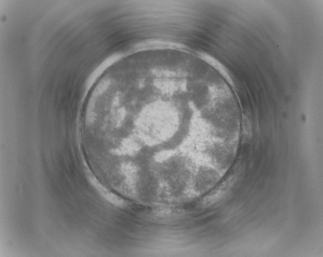 X0000073751098200608311929