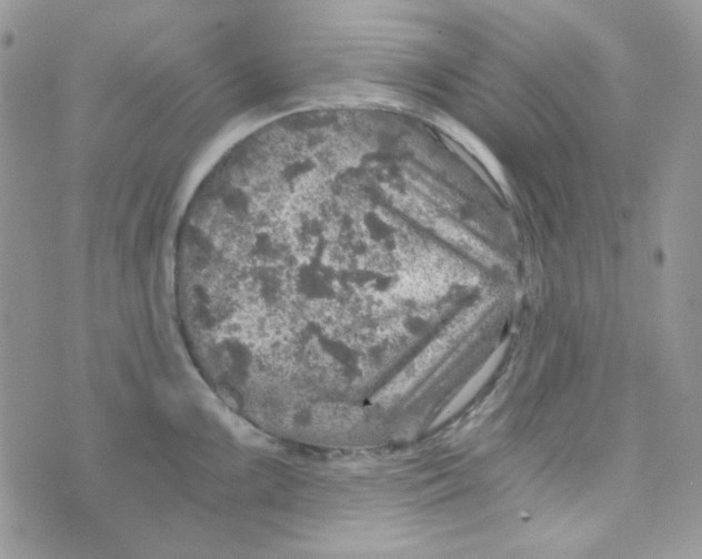 X0000073751099200608311929