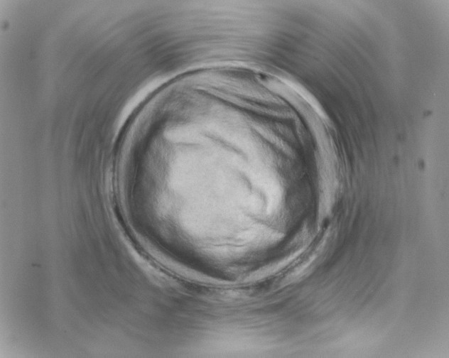 X0000073751101200608311929