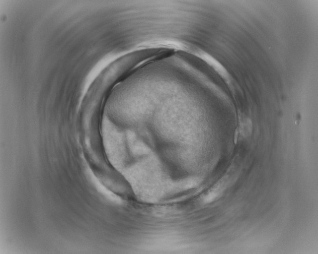 X0000073751102200608311929