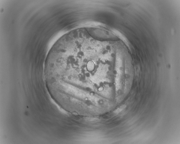 X0000073751103200608311929