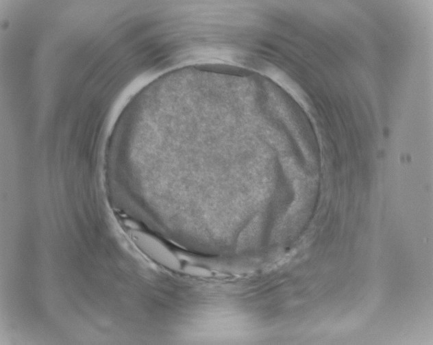 X0000073751104200608311929