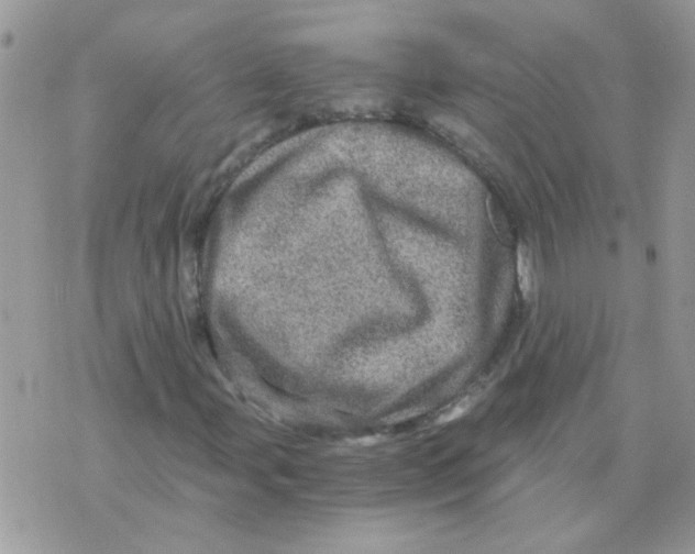 X0000073751107200608311928