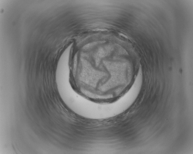 X0000073751108200608311928