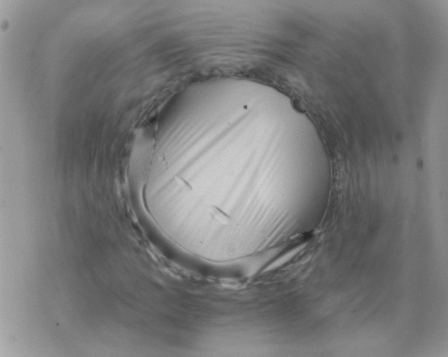 X0000073751109200608311928