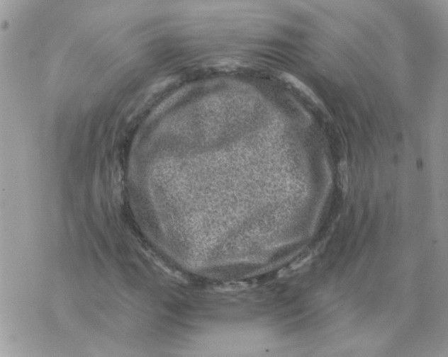 X0000073751111200608311928