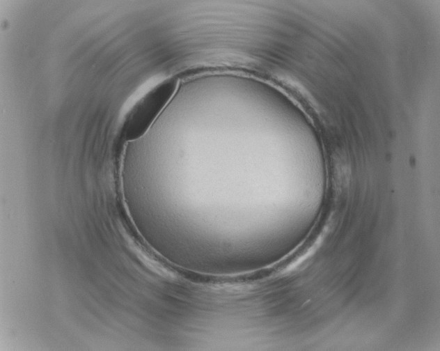 X0000073751114200608311928