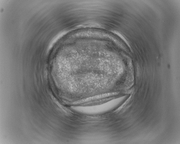 X0000073751115200608311928