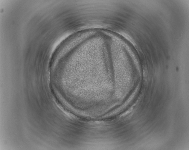 X0000073751119200608311928