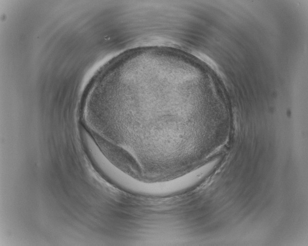 X0000073751120200608311928