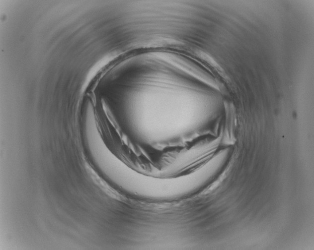 X0000073751122200608311928