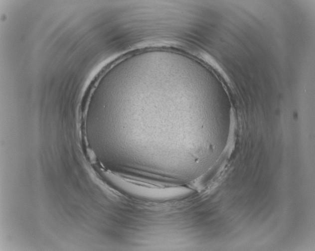 X0000073751124200608311928