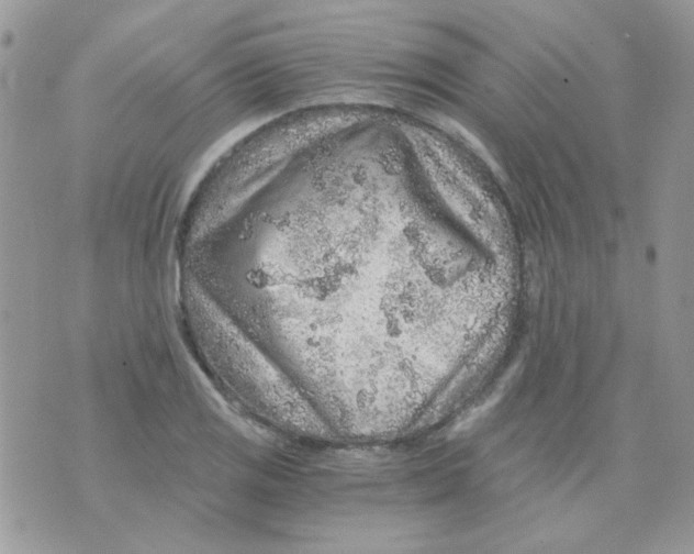 X0000073751125200608311928