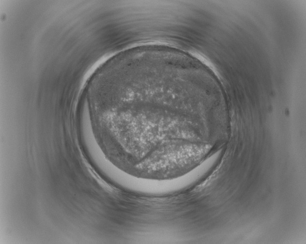 X0000073751127200608311928