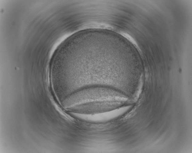 X0000073751128200608311928