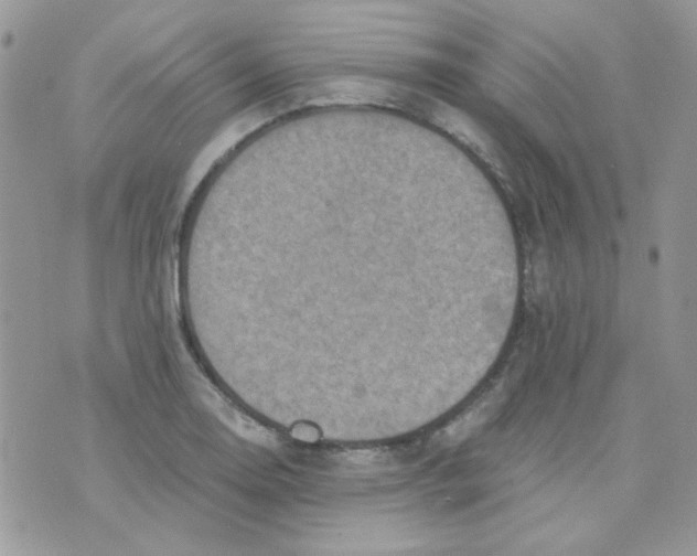 X0000073751130200608311928