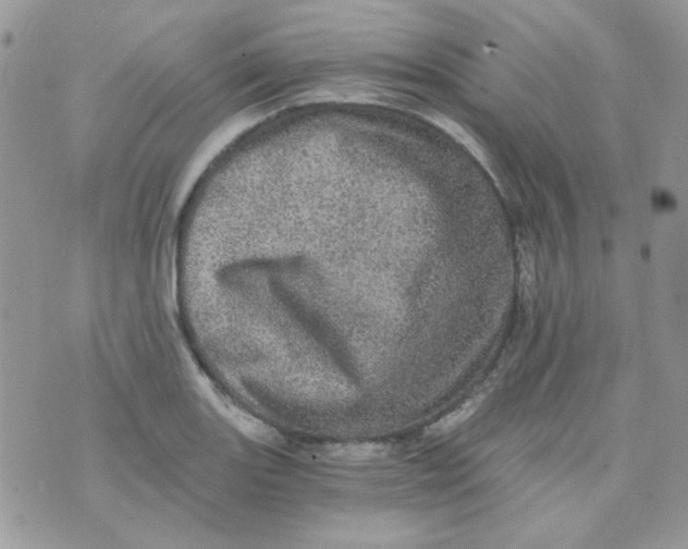 X0000073751131200608311928