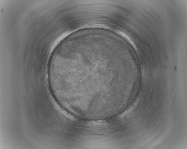 X0000073751133200608311928