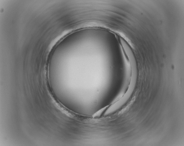 X0000073751134200608311928