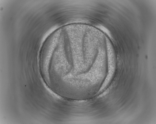 X0000073751135200608311928