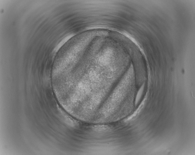 X0000073751137200608311928