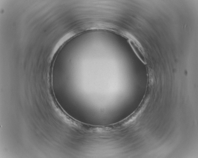 X0000073751138200608311928