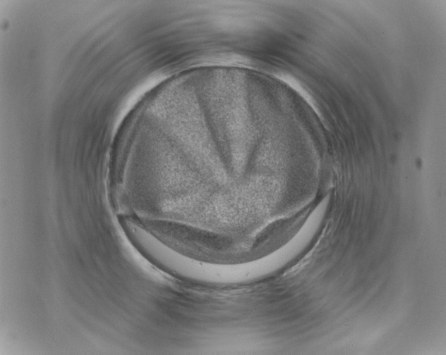 X0000073751139200608311928