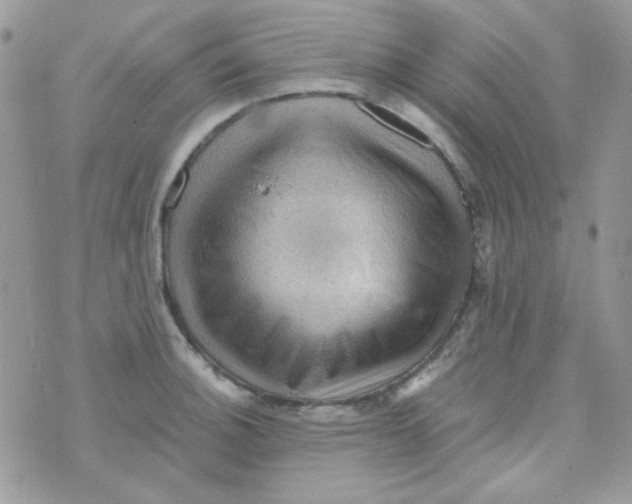 X0000073751140200608311929