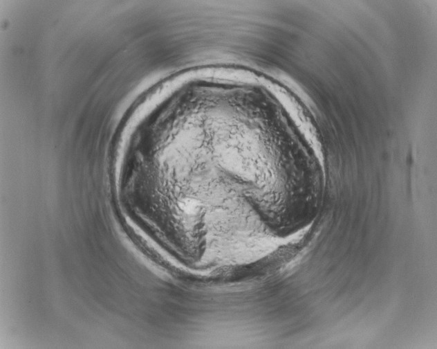 X0000073751142200608311929