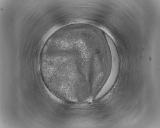 X0000073751143200608311929