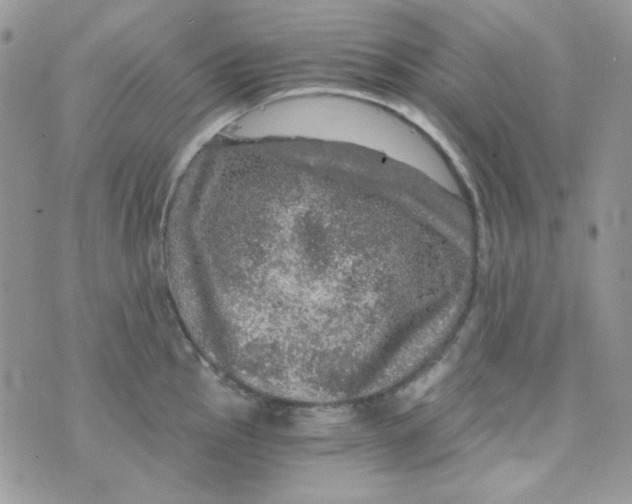 X0000073751145200608311929