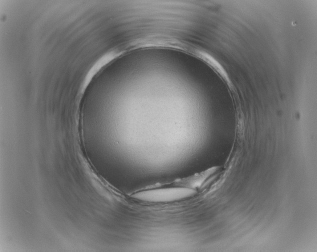 X0000073751146200608311929